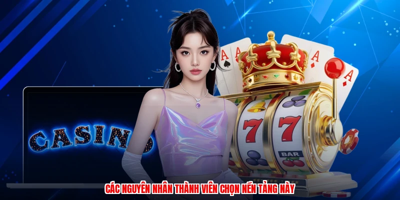 Các nguyên nhân thành viên chọn nền tảng này