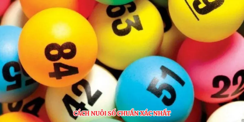 Cách nuôi số chuẩn xác nhất