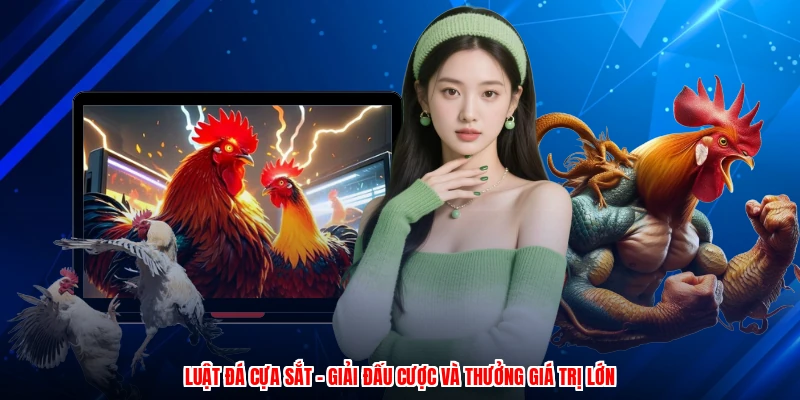Luật Đá Cựa Sắt - Giải Đấu Cược Và Thưởng Giá Trị Lớn