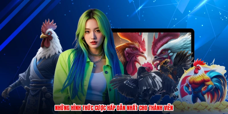 Những hình thức cược hấp dẫn nhất cho thành viên