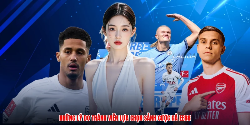 Những lý do thành viên lựa chọn sảnh cược gà EE88
