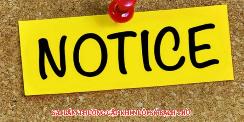 Sai lầm thường gặp khi nuôi số bạch thủ