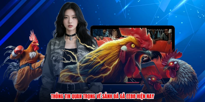 Thông tin quan trọng về sảnh đá gà EE88 hiện nay