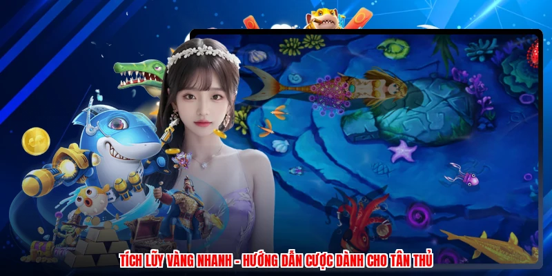 Tích Lũy Vàng Nhanh - Hướng Dẫn Cược Dành Cho Tân Thủ