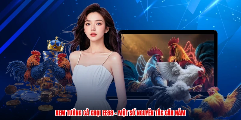 Xem Tướng Gà Chọi EE88 - Một Số Nguyên Tắc Cần Nắm
