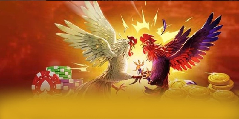 Dịch vụ tư vấn viên tại BET168