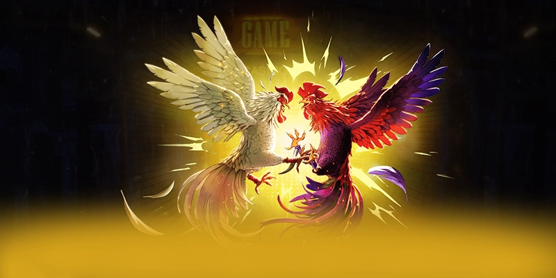 Cùng trải nghiệm BET88 - Nhà cái được tin dùng hiện nay